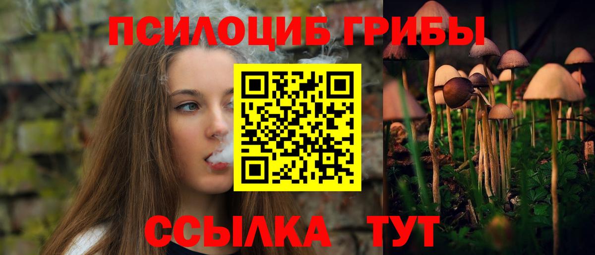Псилоцибиновые грибы Psilocybine cubensis Новошахтинск