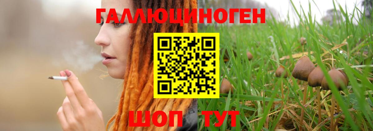 Псилоцибиновые грибы Psilocybe  Вход с VPN  Новошахтинск  Галлюциногенные грибы GOLDEN TEACHER 